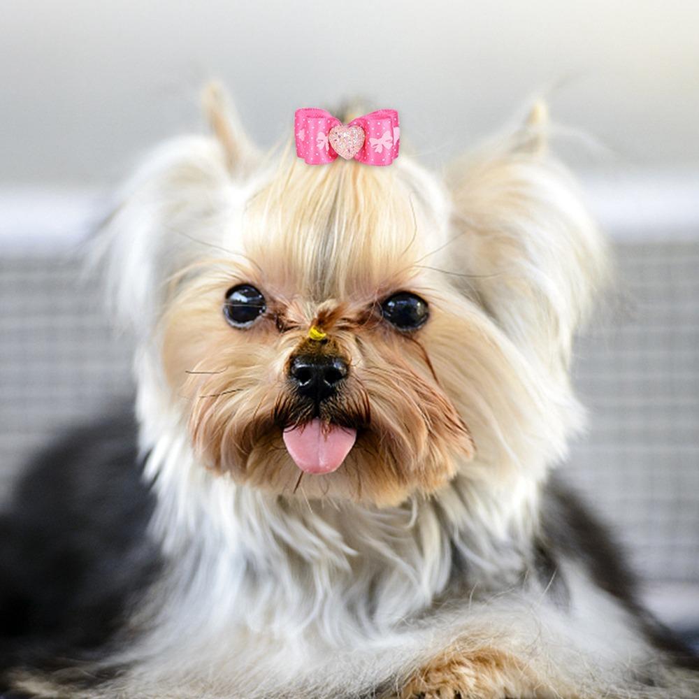 15Pcs Rainbow Ribbon Pet Bow Hair Bows Gradient Tone Gradient Ribbon Bow Pet Hair Arrangement