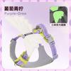 Angel Wings Dog Harness Leash Set 3D Stereo Chest Strap for Large Medium Small Dogs Outdoor Walking Pet Vest