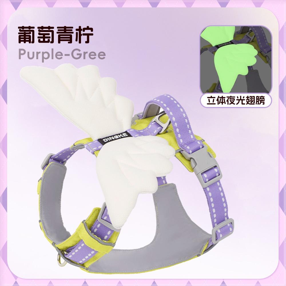 Angel Wings Dog Harness Leash Set 3D Stereo Chest Strap for Large Medium Small Dogs Outdoor Walking Pet Vest