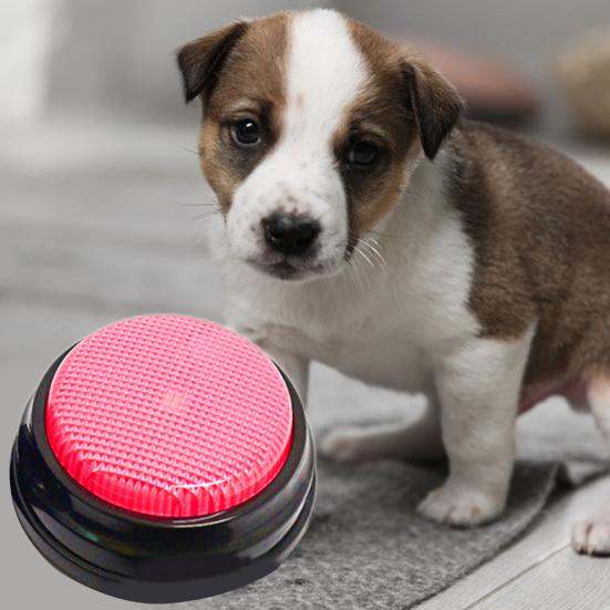 Говорящая кнопка Интерактивная записываемая многофункциональная круглая форма Удобная для переноски Связь ABS