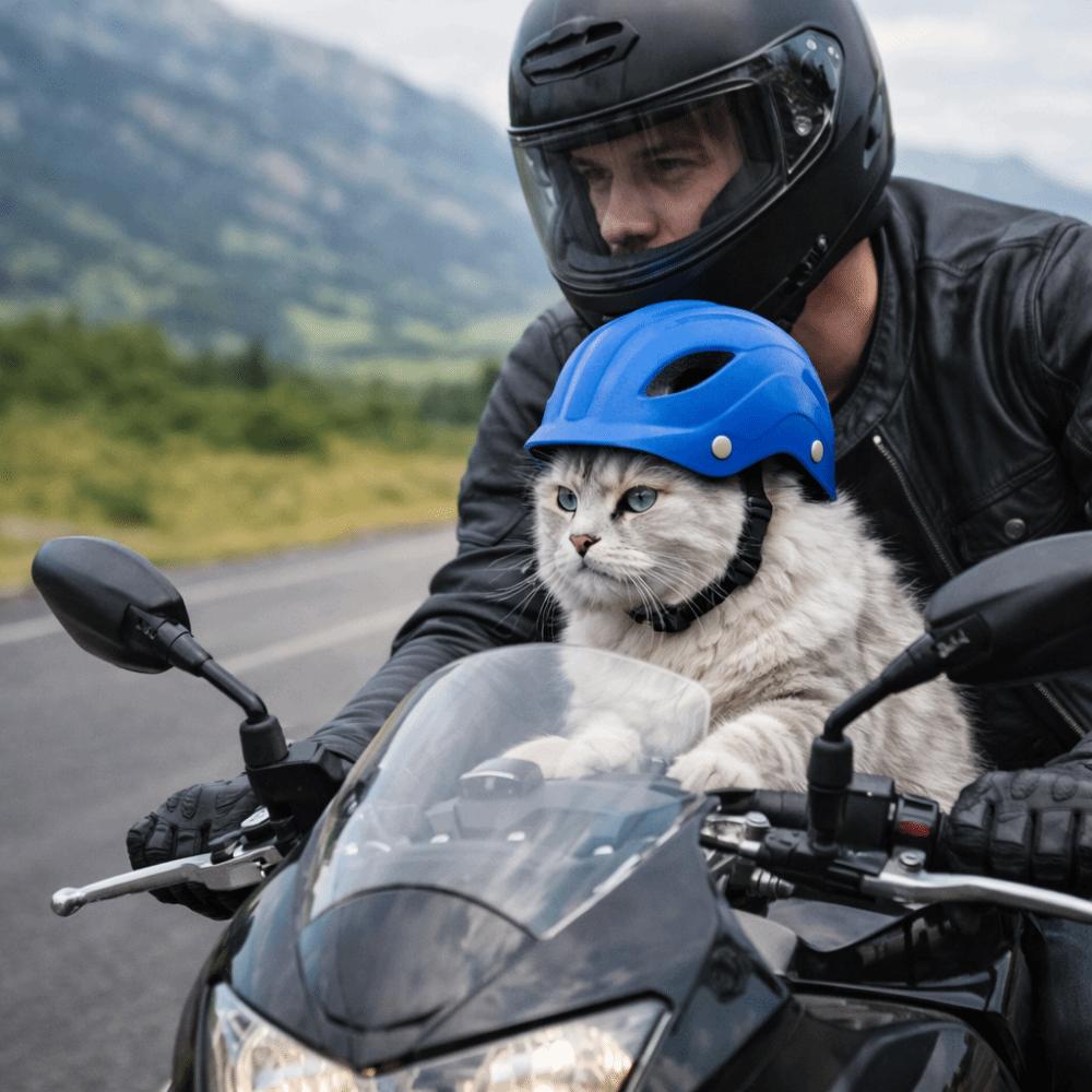 Adjustable Dog Helmet Comfortable Fit Cat Locomotive Helmet Fashion Dog Riding Helmet  Traveling