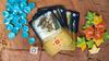 Настольная игра Ravensburger Mycelia Японская версия 22677 1
