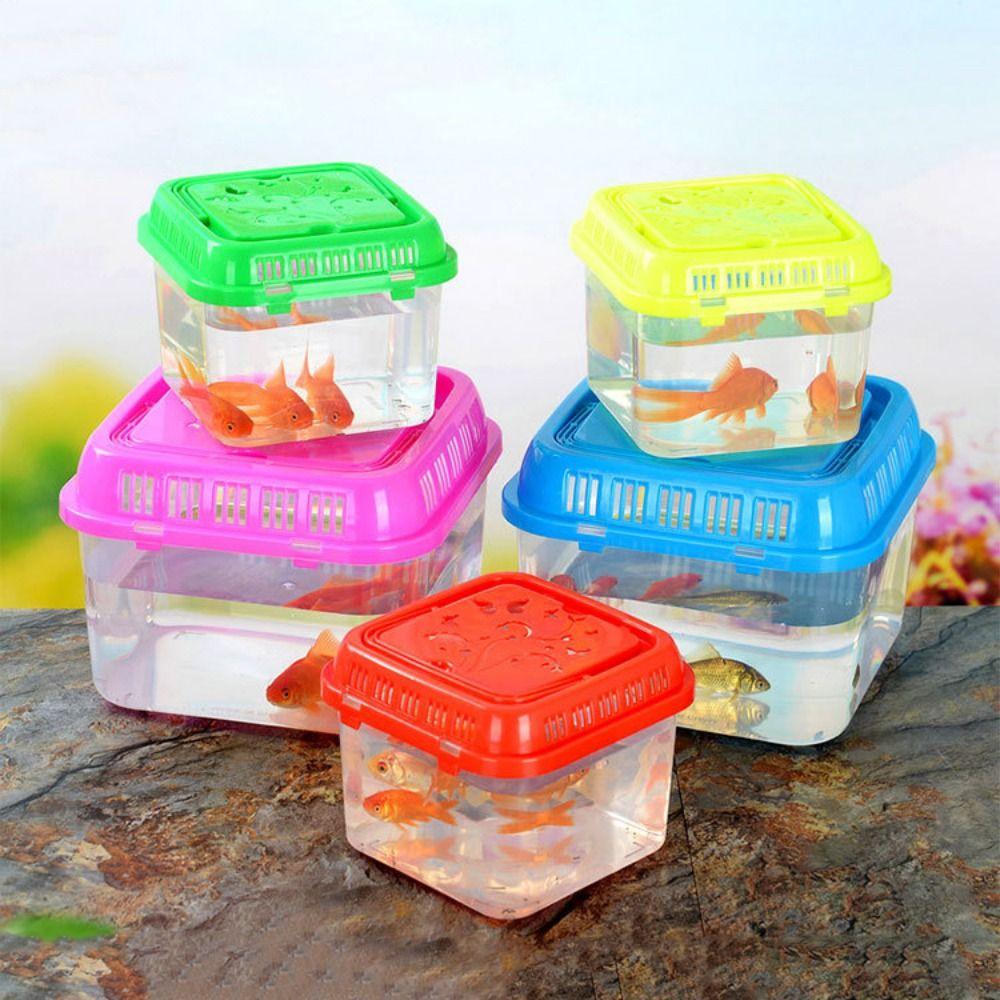 Ручной Портативный Аквариум Пластиковый Мини Аквариум Переноска для Рептилий Клетка для Переноски Хомяка Дом