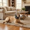 Hearing Protection Dog Head Cover Adjustable No Obstructed Vision Dog Calming Earmuff Breathable Anti-Noise