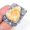Fossil Coral Gemstone 925 Sterling Silver Jewelry Ring Size 7