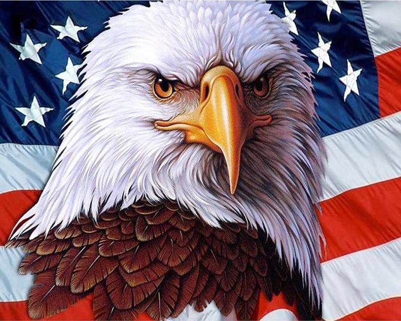 5D DIY Алмазная картина Клан волка Девушка Полный квадратный круглый набор для вышивки крестом Алмазная вышивка Сад Уличный пейзаж Мозаика Ручная работа Домашний декор