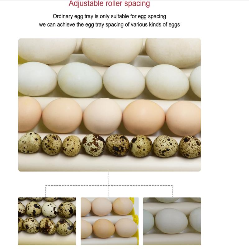 Automatic Eggs Incubator 360° Rotary Egg Turner Roller Tray Egg Hatching Incubator Duck Quail Bird Poultry Accessory for Farm