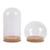 Ins Style Preserved Flower Glass Dome with Cork Base - Creative Dustproof Display Ornament