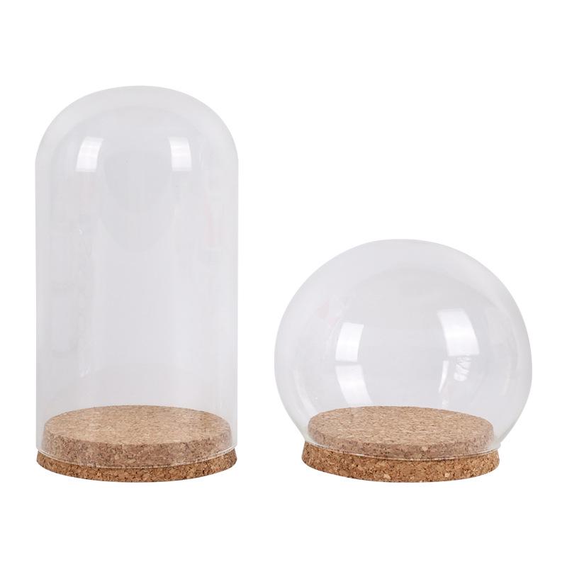 Ins Style Preserved Flower Glass Dome with Cork Base - Creative Dustproof Display Ornament