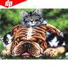 5D Алмазная Картина Животное Кошка Полная Круглая Картина Стразы Вышивка Распродажа Алмаз