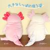 Shinada Global Mochi Series Mochi Upa Pink 22 X 22 X 30cm Plush Axolotl Animal (Large) MOUP-0350P
