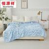 Hengyuanxiang Antibacterial Machine Washable Summer Quilt
