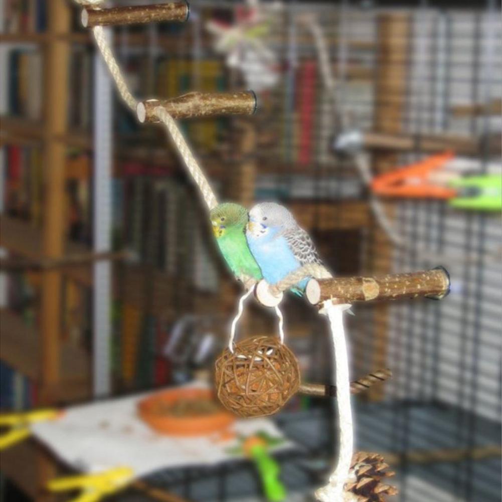 Parrot Wooden Perch Stand Hanging Climbing Hammock Swing Standing Training Toys Cage Accessories