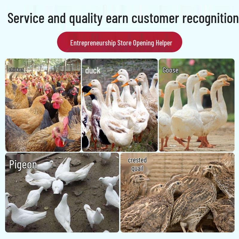 Automatic Mobile Poultry Plucker