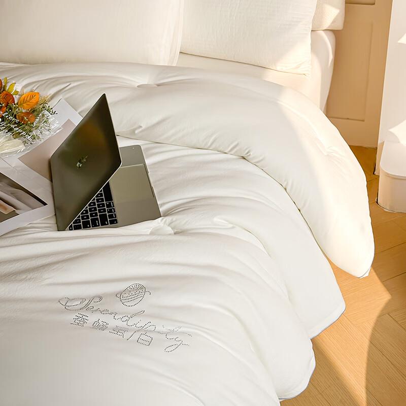 Fangwang Silkworm Protein Antibacterial Quilt