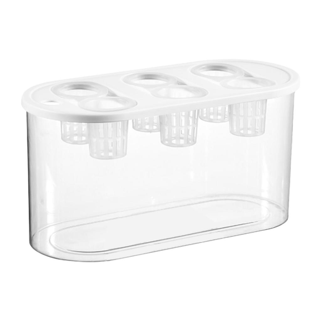 Hydroponic Grower Box 6 Holes Sturdy Easy to Use Transparent Hydroponic Planting Box for Vegetables Indoor Home Plants and Fish