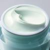 Estée Lauder DayWear Мультизащитный Антиоксидантный 24-часовой Увлажняющий Крем SPF 15