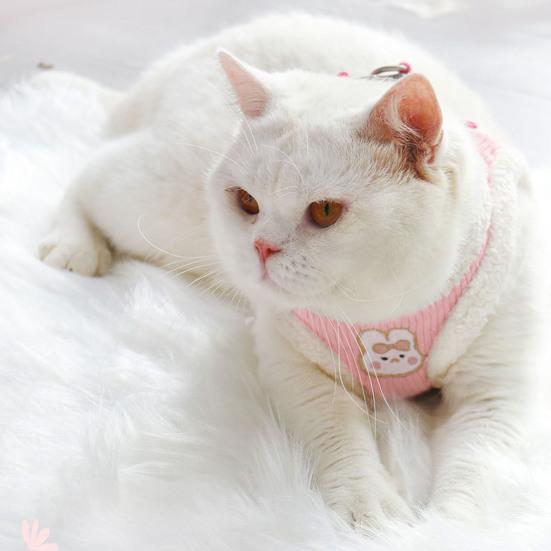 1 комплект поводка для домашних животных, мягкая ручка, застежка, лента, пряжка, дизайн, защита от побега, устойчивая к разрыву мягкая подкладка