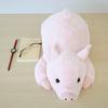 Sun Arrow Cushy Pig Plush