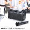 Sanwa Supply Акустическая система с беспроводным микрофоном MM-SPAMP7