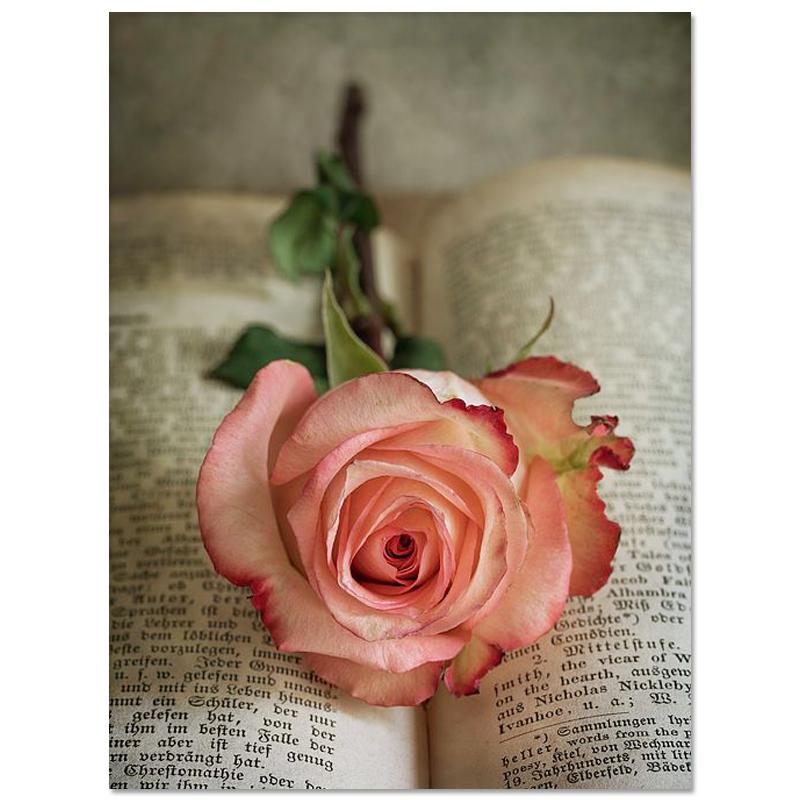 5D DIY Diamond Painting Magic Book Flowers Diamond Embroidery Cross Stitch Kit Full Rhinestone Mosaic Home Decor