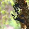 Peek-a-Boo Sasquatch металлический знак двухсторонний силуэт выглядывающего животного средний палец Sasquatch садовый художественный знак для наружной стены дерево забор декор