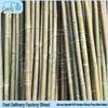 Bamboo Poles for Garden Support