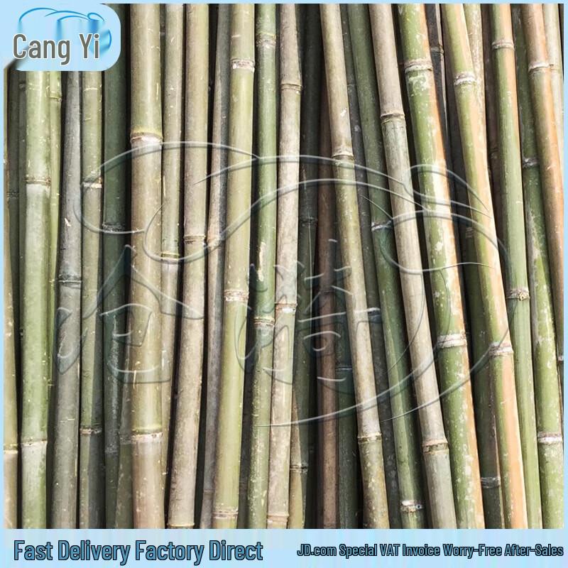Bamboo Poles for Garden Support