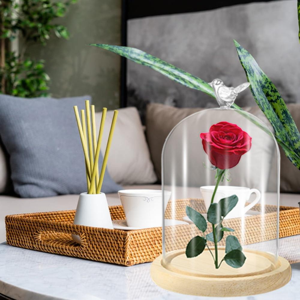 Clear Glass Display Cloche Dome with Bird Handle Wooden Base, Immortal Flower Glass Cover Large Size Office Home Decoration
