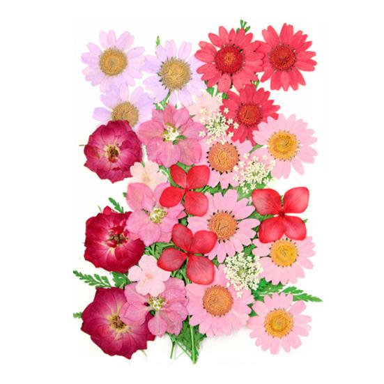 1 Set Dried Pressed Flowers Kit Colorful Natural Flowers DIY Art Crafts Supplies Resin Jewelry Epoxy Mold Candle Soap Vase Making Nail Card