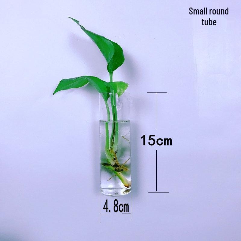 Creative Wall-Mounted Transparent Glass Vase for Plants and Fish