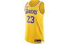 Мужская аутентичная майка Los Angeles Lakers Icon Edition Nike Dri-FIT Adv НБА DM6028-731