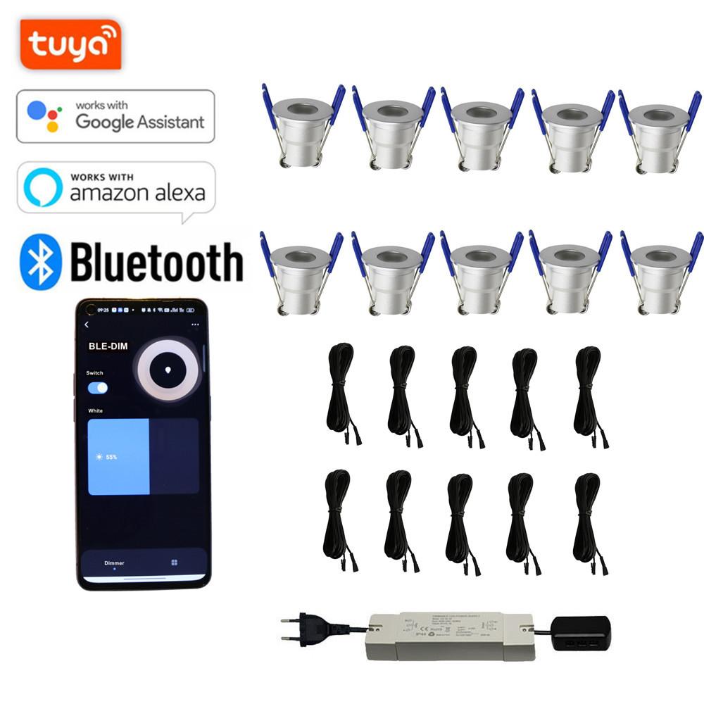 10x 3w Mini LED Downlight Complete Set TUYA APP Dimmable LED for Veranda or Terrace