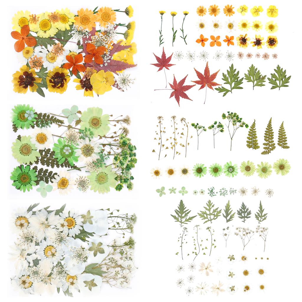 Dried Flowers Diy Pressed Flowers Stickers 104/96/94Pcs Real Natural Pressing Floral Leaves For DIY Making Art Decoration Home