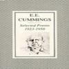 Selected Poems 19231958 by E.E. Cummings Paperback Book 9780571089864