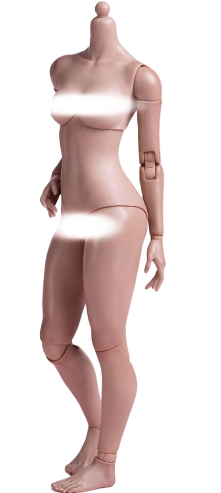 HiPlay Worldbox 1/6 Scale Female Body, Super Articulated Figure Doll (Standard Body Type AT201 (Suntan Skin)) (Suntan Skin)
