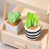 1Set 1:12 Dollhouse Miniature Succulent Plant Potted Cactu Landscape Home Decor