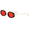 Y2K Hip Hop Sun Glasses Vintage UV400 Shades Fashion Small Oval Sunglasses  for Women & Men