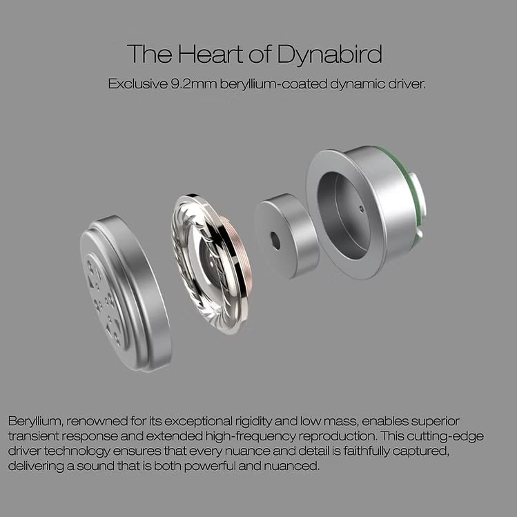ORIVETI bleqk Dynabird Однодрайверные Hi-Fi внутриканальные наушники -
