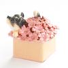 Piearth, ведущий бренд хрустальных шкатулок для украшений. Шиба-ину Котецу Шкатулка для украшений ex510-2 ex510 [Прямой магазин Pierce]