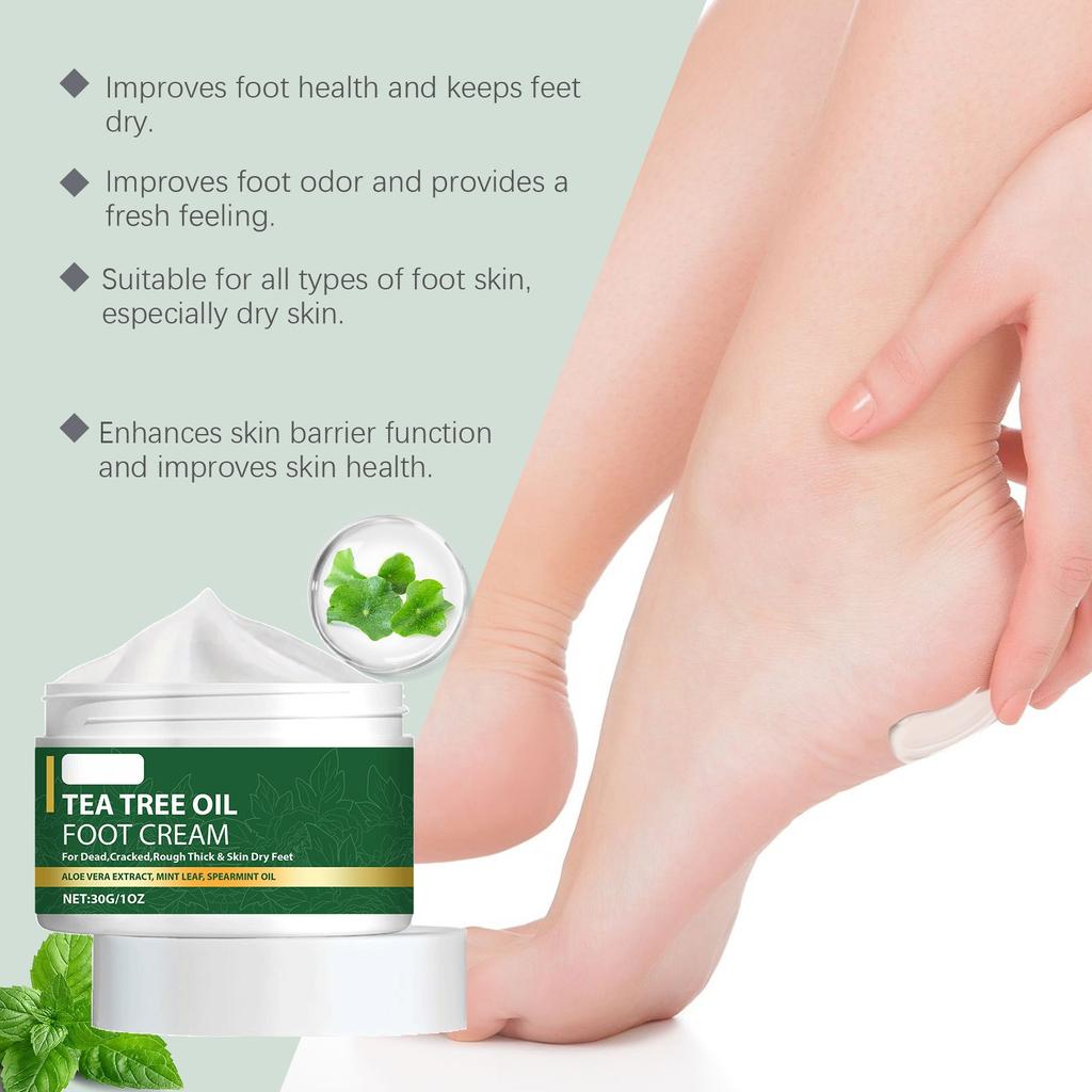 Teatree Oil Foot Cream Foot Skin Care Cream Moisturizing Foot Skin Daily Care Cream