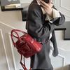 Portable Double Shoulder Women 2025 New Trendy Niche Fashion Small Square Bag Versatile Shoulder Bag Messenger Bag Bag