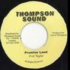 7inch Record ROD TAYLOR - Promise Land Thompson Sound 1980 Jamaica Reggae, Ska & Dub