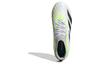 adidas Predator Accuracy.2 Hg Ag 'Белый Зеленый Черный' IE9486