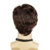 Men Short Curly Wig with Bangs Fluffy Natural Looking High Temperature Fiber Male Wavy Black Brown Synthetic Hair