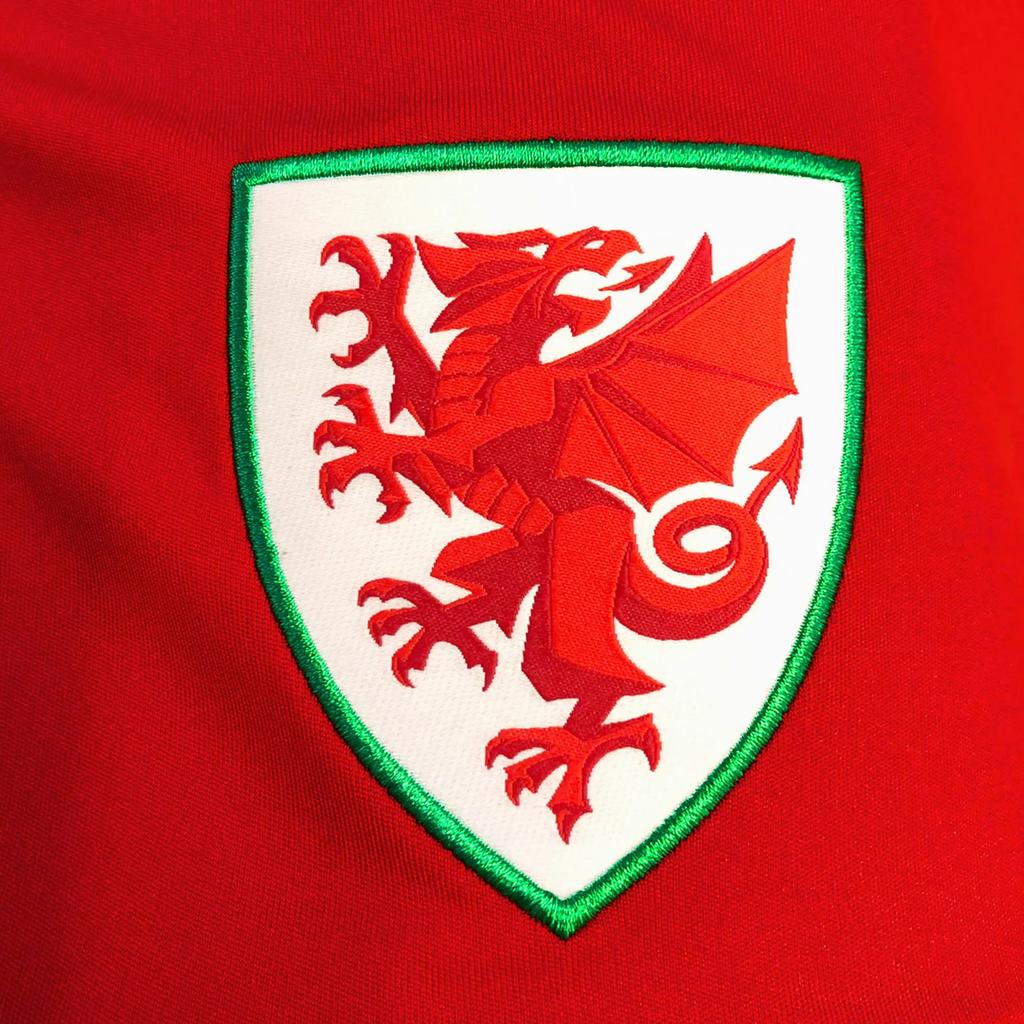 Wales Cymru Mens Bale 11 Polyester T-Shirt