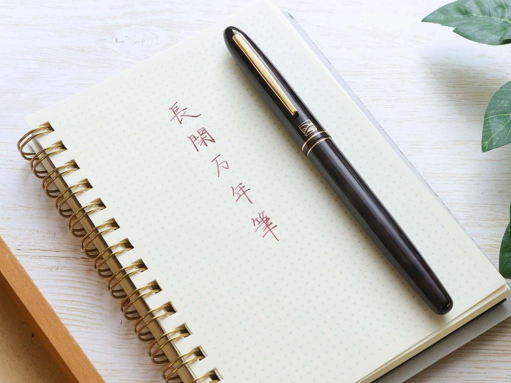 WANCHER Kuretake Chokan Fountain Pen Chakasumi Fountain Pen Fountain - [Wancher Pen] (M Medium)