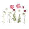 Filling Materials Jewelry Making Beauty Decal Resin Filler Resin Mold Filling Flower Dried Flowers