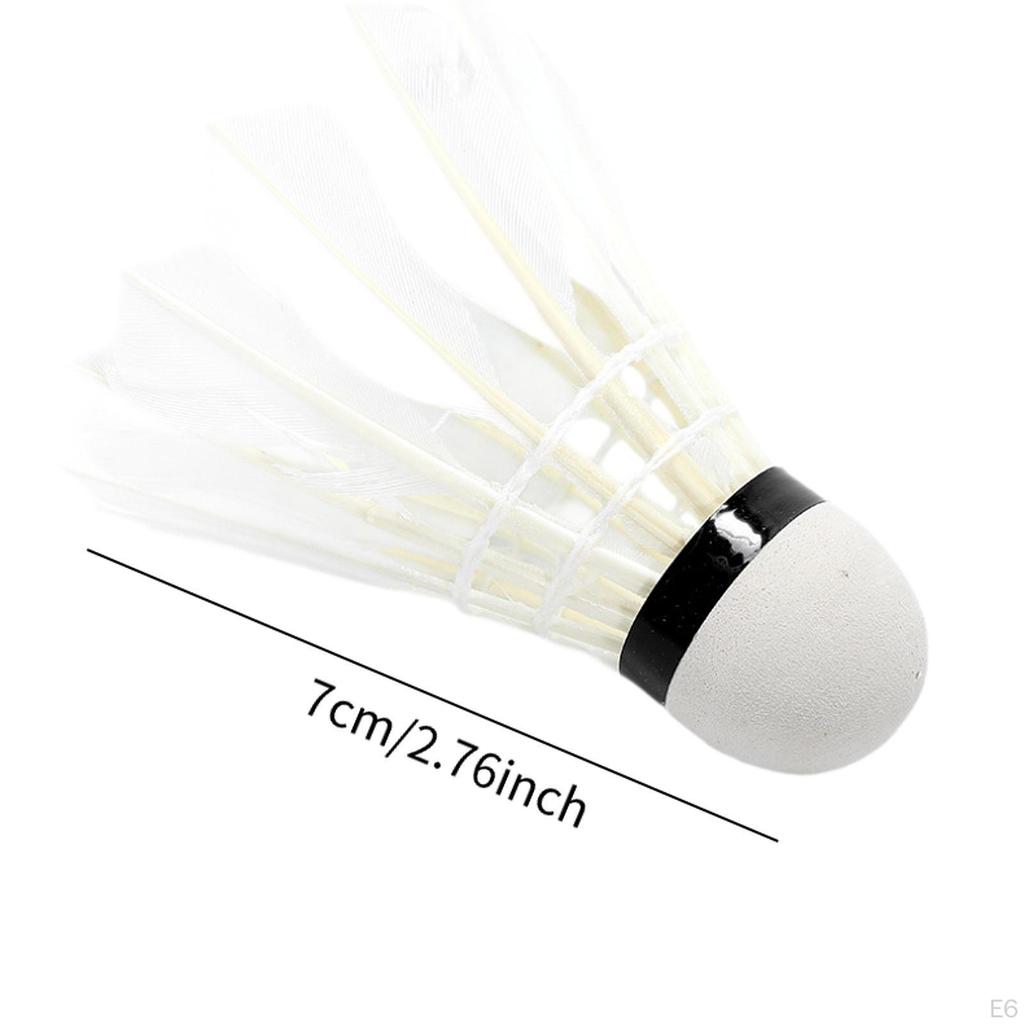 Badminton Birdie Training Equipment for Outdoor Exercise
