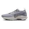 Nike Pegasus Trail 5 GORE-TEX Cement Grey Midnight Navy Мужские кроссовки Jade-Horizon Burgundy-Crush FQ0908-006